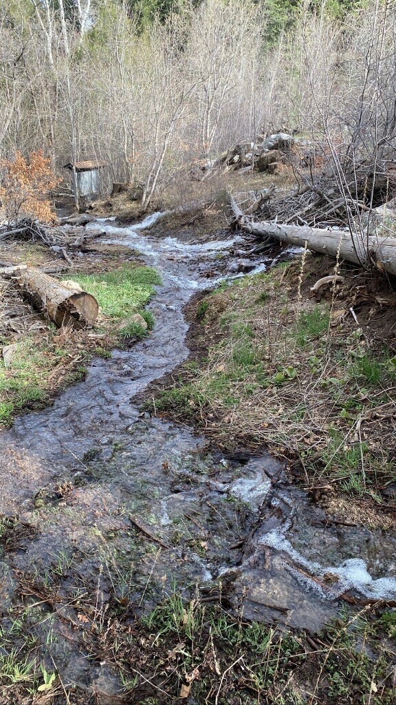 Sandia RD recreation sites as well as trails west of Highway 14 to the Sandia Crest are seeing excessive runoff from snow melt in the Sandia Mountains.

For rec site status on: fs.usda.gov/recmain/cibola…

Photo: Cienega Spring Trail on April 15, 2023.
FS photo by Chasity Barnes.