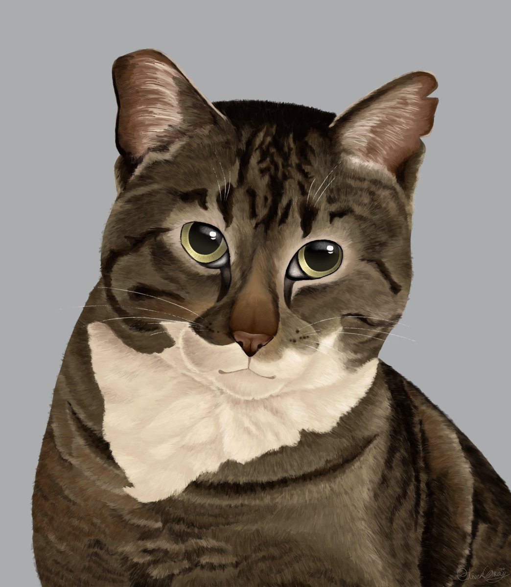 morbidcvriosity's tweet image. happy birthday (and congrats on the novel) to @gayrodcon !! to celebrate i drew howie! i hope you enjoy 💙💙💙