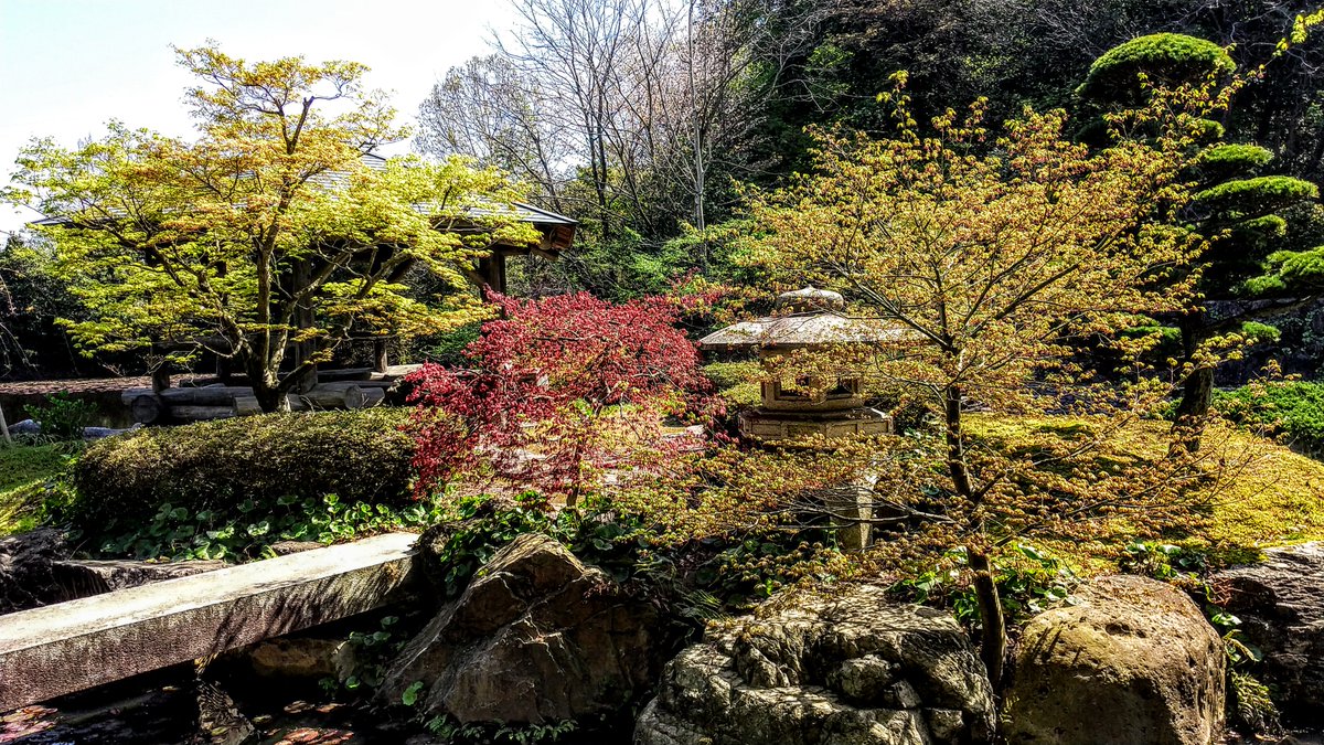 kurousagiX1's tweet photo. ●春の若葉の明るい緑が鮮やかな景色を彩ります。
…#鳥取 #風景 #布勢 #春 https://t.co/r4kVNn8Ki3