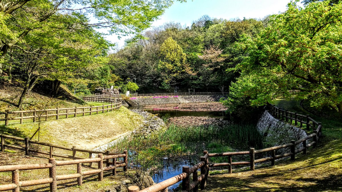 kurousagiX1's tweet photo. ●春の若葉の明るい緑が鮮やかな景色を彩ります。
…#鳥取 #風景 #布勢 #春 https://t.co/r4kVNn8Ki3