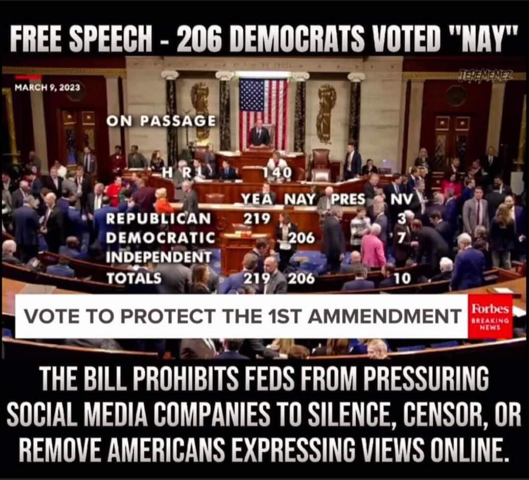 polishprincessh's tweet photo. 206 Democrats voted to keep us silent. Think about that. https://t.co/CwK3JYcbss