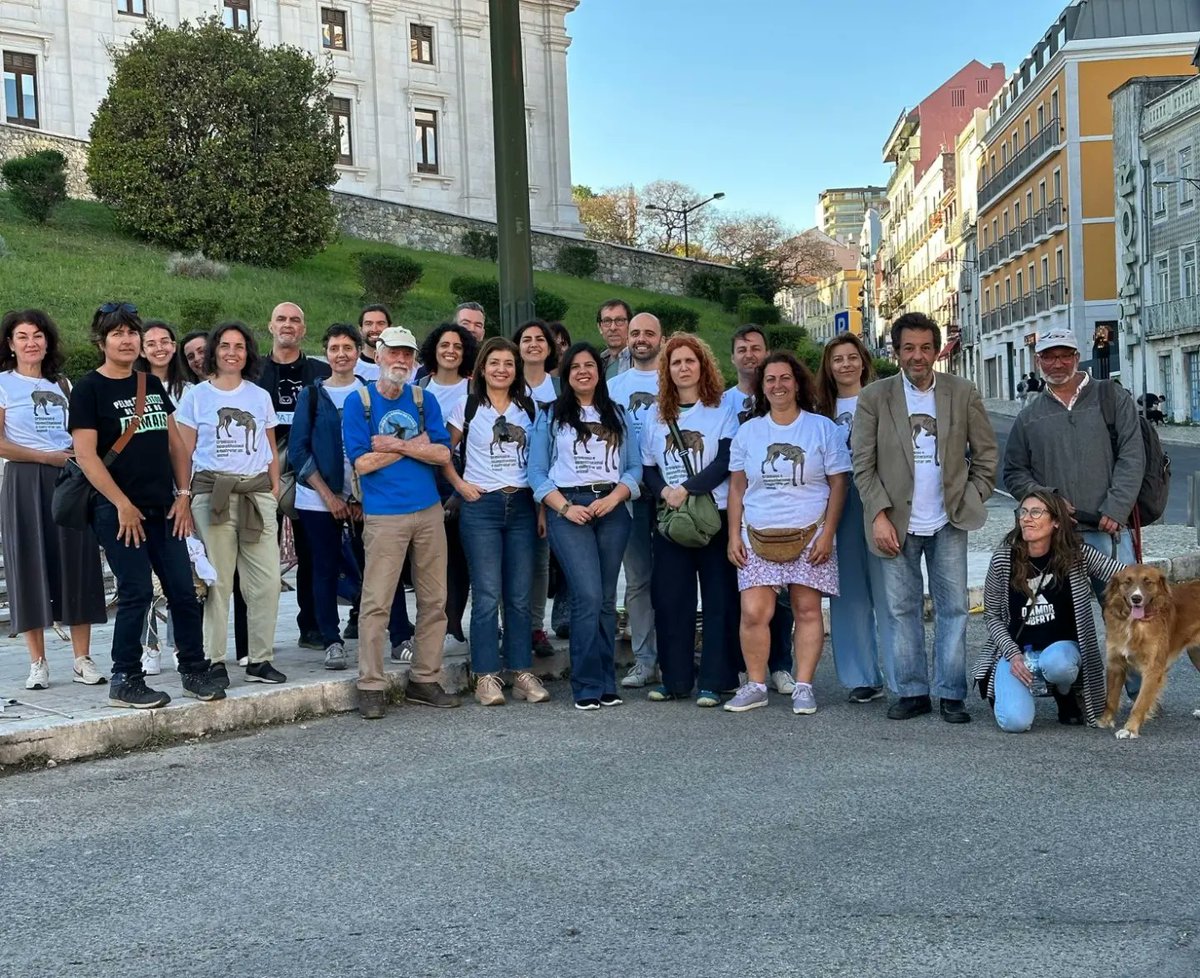 pan_lisboa's tweet photo. Mais uma vez marchámos tod@s junt@s POR TODOS OS ANIMAIS E PELA SUA PROTEÇÃO 

Na marcha anual organizada pela Animal a voz foi una para pedir direitos para os animais e a sua inclusão na Constituição.

https://t.co/3ZRoyBHDhB

#panlisboa #animais #direitosdosanimais https://t.co/7pLjm7srzL