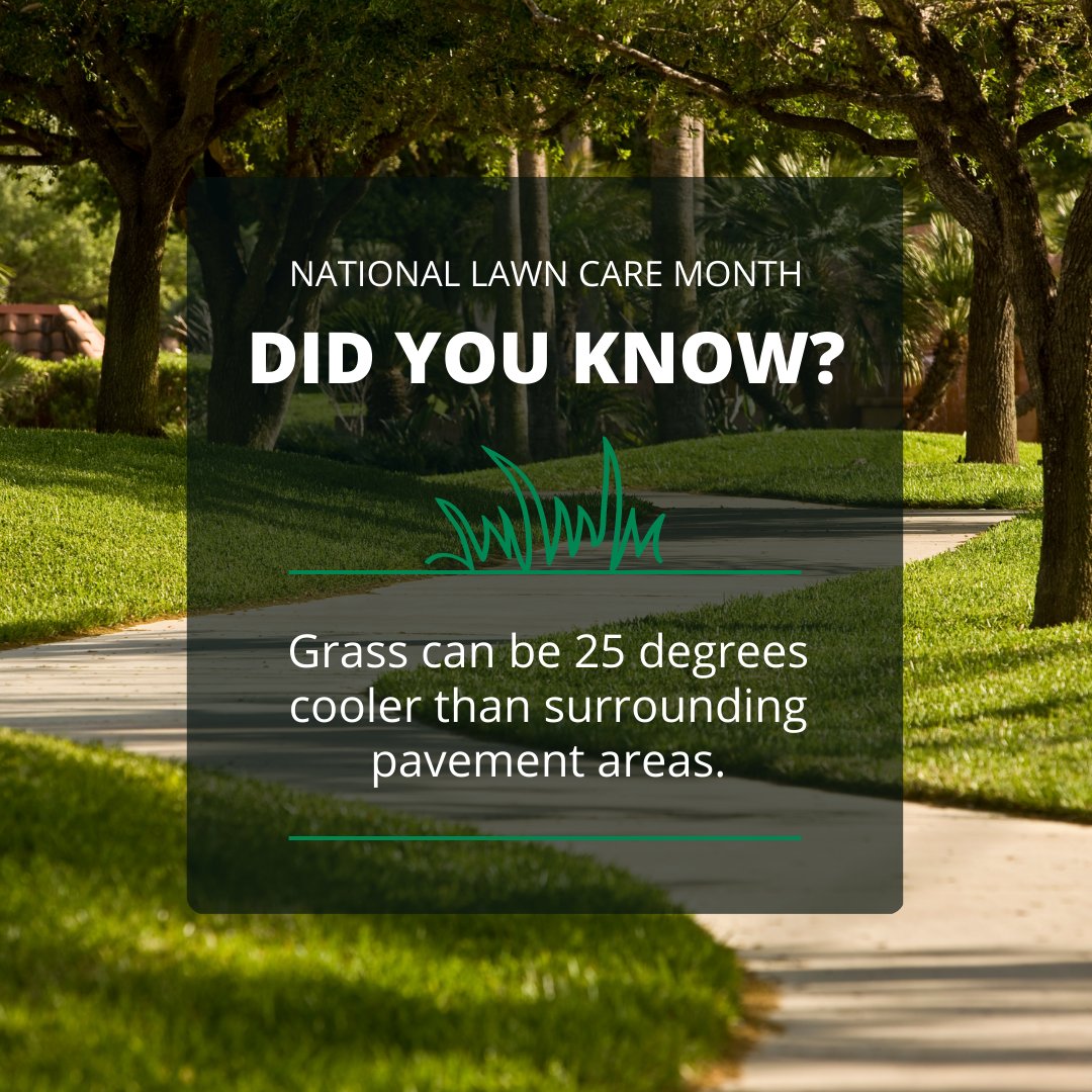 RainBirdCorp's tweet photo. It's #NationalLawnCareMonth, and the perfect time to appreciate all the lawns, golf courses and grassy areas you work on. Did you know that grass can be 25° cooler than surrounding pavement?

Learn how you can advocate for healthy green spaces here: https://t.co/eatt5yypQt https://t.co/5b3BGfapbH