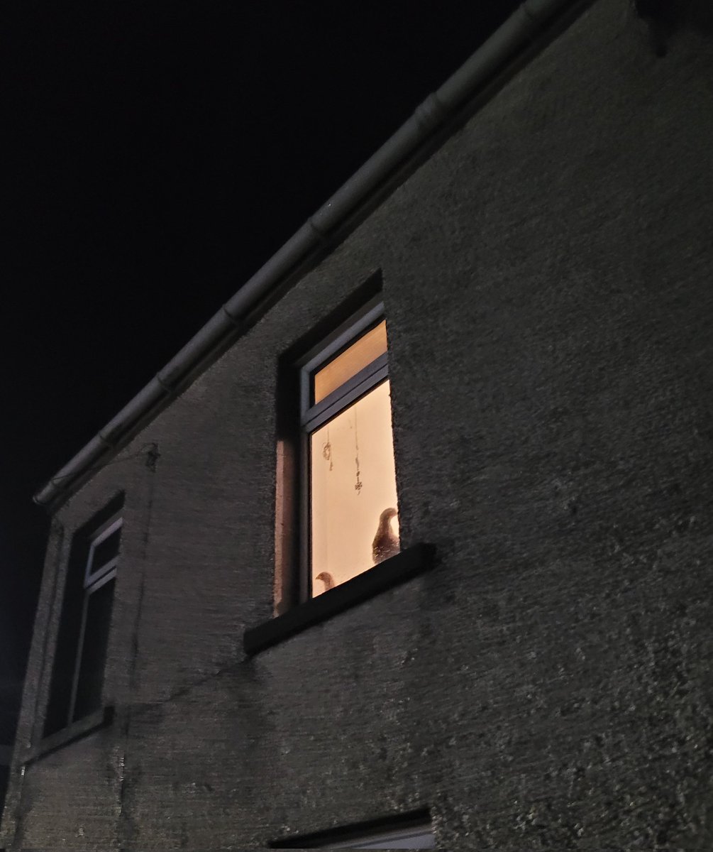 Matthew Corr tweet media