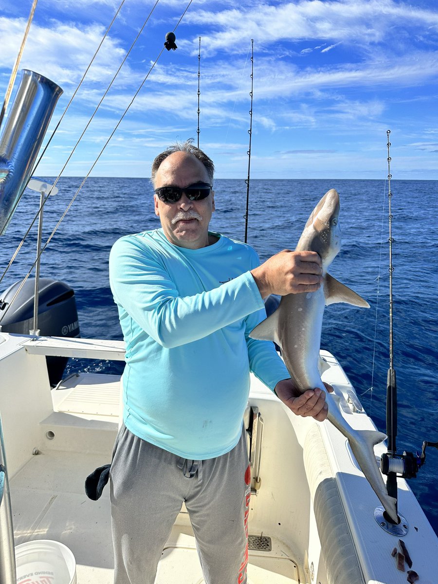 DougIlling's tweet photo. Knocked the dust off the rods and went grocery shopping. 10 different species were caught ..Great group of guys. made some good memories . Call (910) 232-7604 Capt Austin fishing Adventures @ Ocean isle fishing center. The
Fishing is heating up
#seewhatsoutthere
#realsaltlife https://t.co/SPXUrkyejw