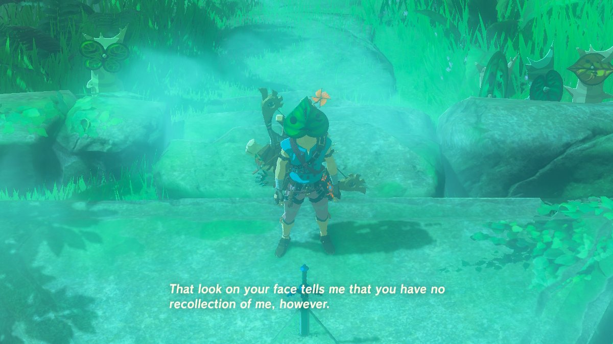 #BreathoftheWild #NintendoSwitch