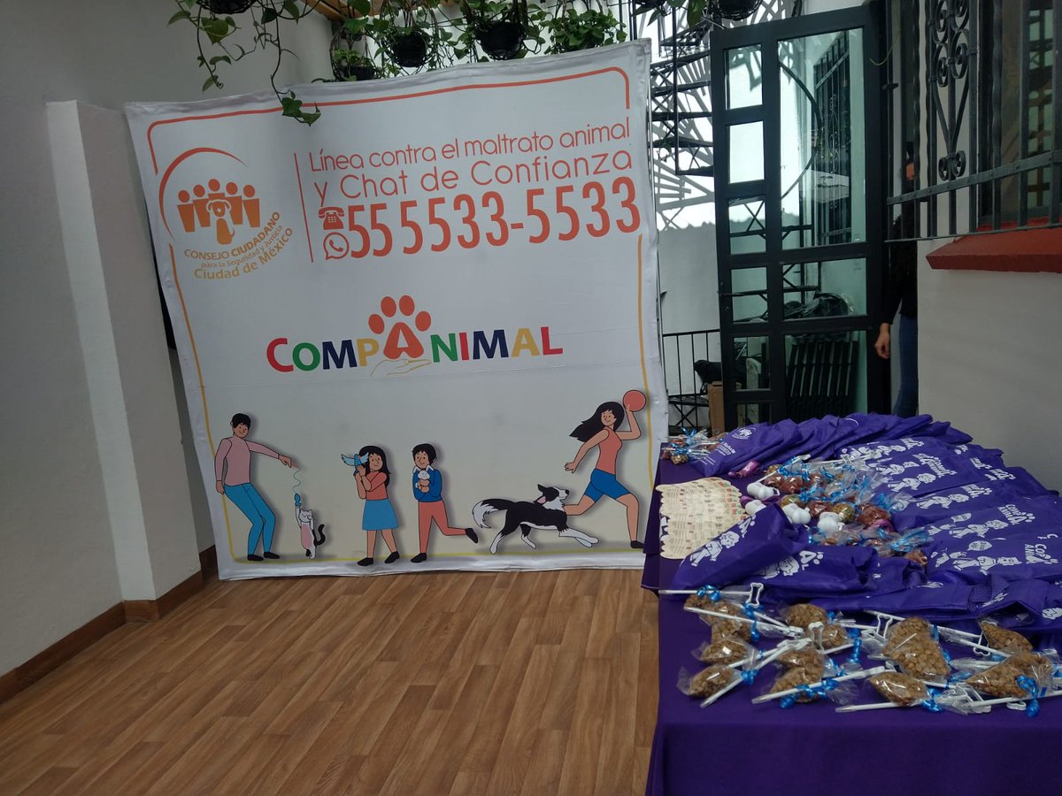 elconsejomx's tweet photo. Concluimos con éxito la "Jornada de Vacunación Antirrábica" en nuestra sede en Tintoreto 39 @BJAlcaldia. Agradecemos al equipo de @AgatanCdmx por todo el apoyo brindado, ¡vacunamos a un total de 60 #CompAnimales! 🐶 🐱 https://t.co/THcUDE41mR