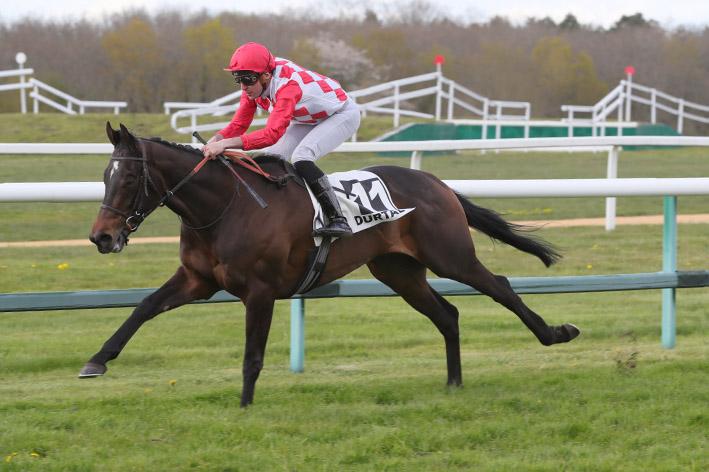 boardsmillstud's tweet photo. Impressive 1st crop 3YO winner for #POETSWORD today in France. Pacini wins impressively on debut at Durtal for @MathieuBrasme &amp; Owner/Breeder William Slattery. Congrats to all https://t.co/iI6Wwcun7c