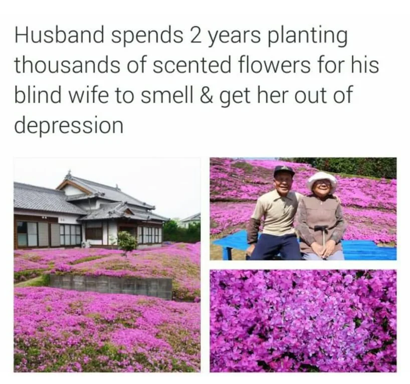 WholesomeMemes tweet media