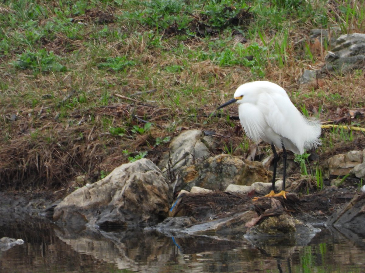 Ben Douglas tweet media