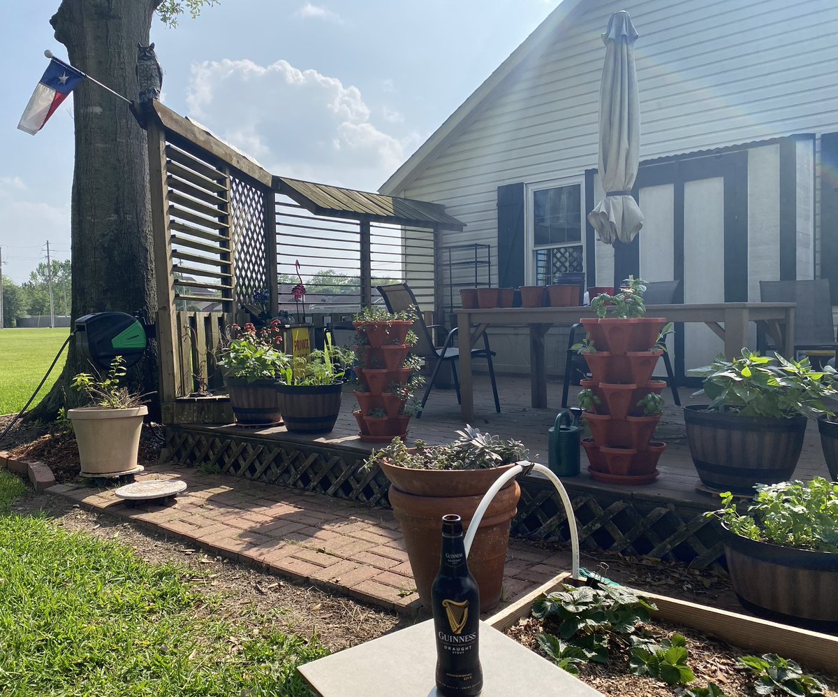 TWtexas's tweet photo. Sunshine therapy #relaxing ☀️ https://t.co/bECVvYHKAy