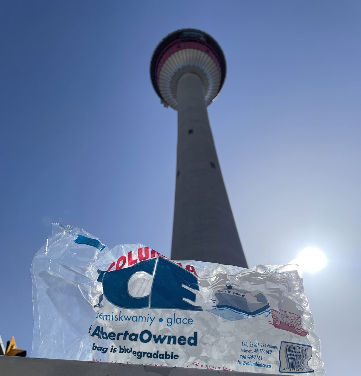 Ice wanted to see the Calgary Tower. If you want to see @columbia_ice call @Birkby_Foods at 1-855-394-3663.

#Calgary #YYC #CalgaryLife #CalgaryBuzz #CalgaryLiving #CaptureCalgary #CalgaryNow #YYCliving #YYCphotography
