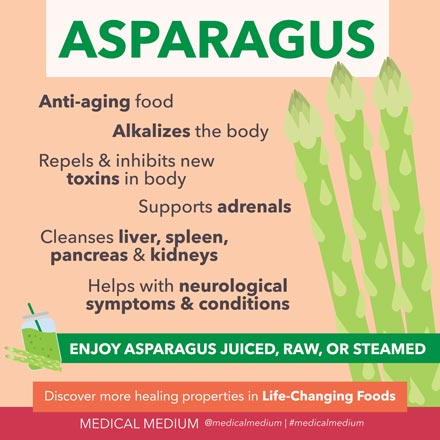 Benefits of #Asparagus 

&gt; anti-aging support 
&gt; critical organ cleansers
&gt; one of the most adrenal-supporting foods
&gt; alkalizes the body (by flushing out unproductive acids)
&gt; Repels &amp; inhibits new toxins
