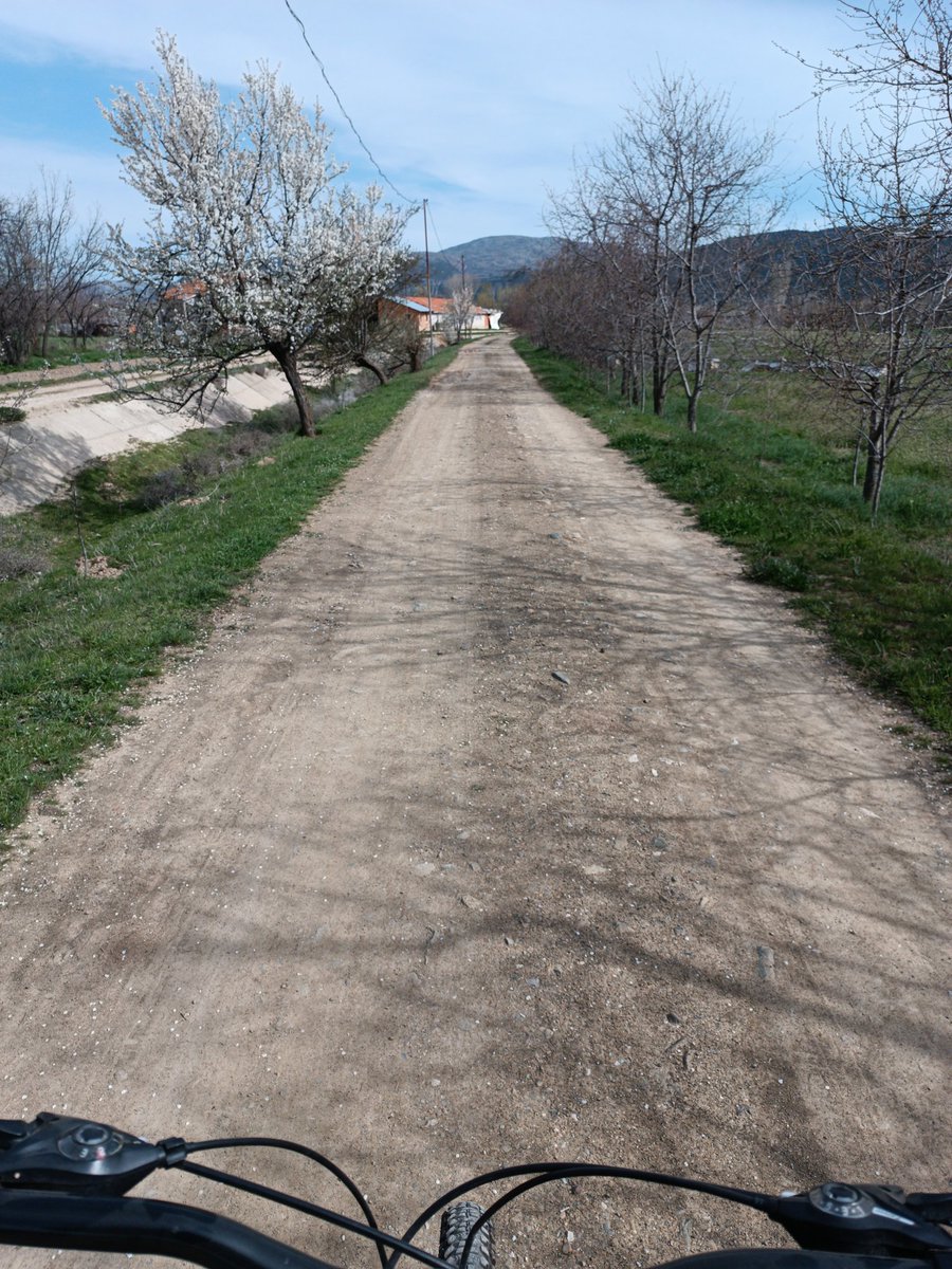 ''Garip değilim, ama kötüyüm. Böyle olurum bazen. Canım hep ağlamak ister.'' 
Tolstoy