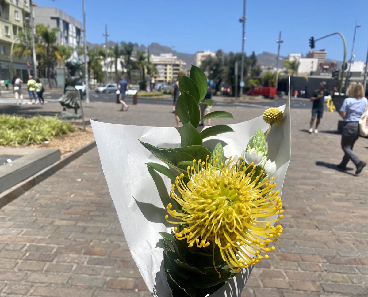 Yo me compro mis flores como Miley Cirus 😁