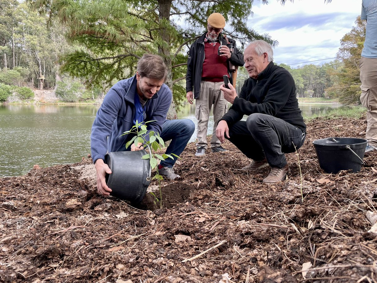 MunicipioPaso's tweet photo. 🟢 #Hoy nuestra alcaldesa interina Laura Benavidez, participó en la plantación de 30 árboles ceibos en el #ParqueRoosevelt  junto al director del Parque, el Arq. José Freitas, en el marco del “Programa Forestal”, dentro del plan de recuperación del lago 🌱🌳 https://t.co/yOyEiVd92P
