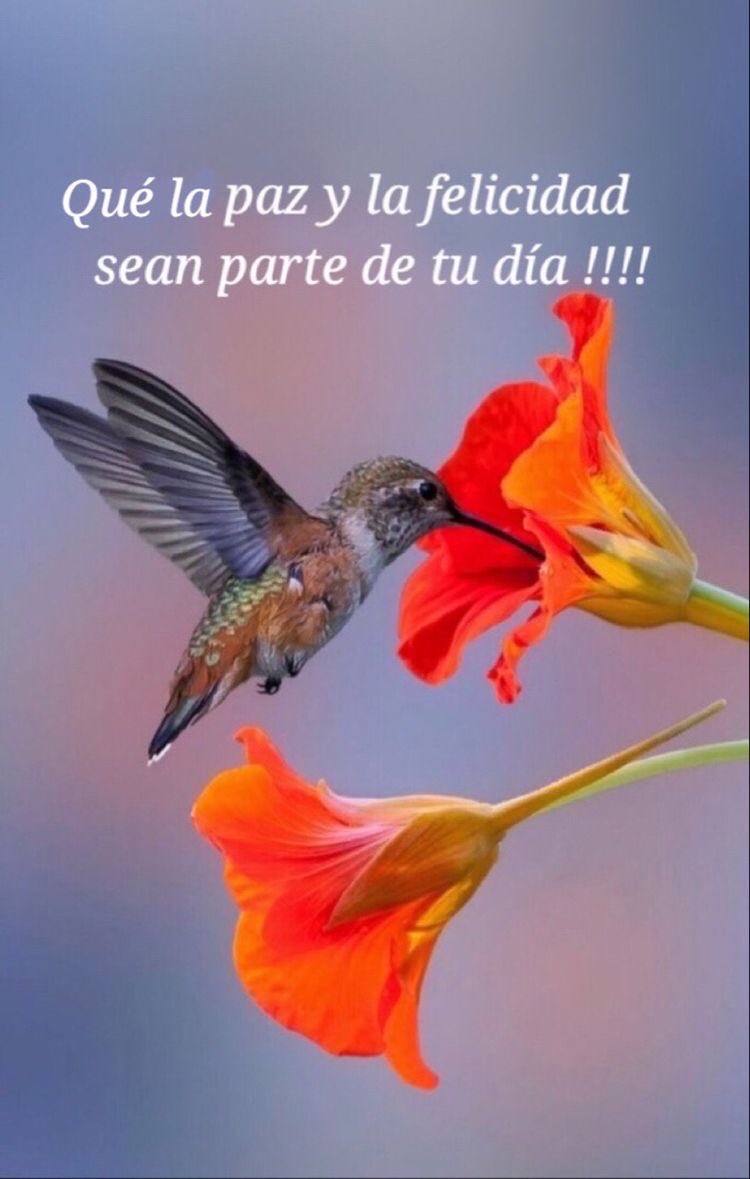 rositacriollo's tweet photo. https://t.co/1J77T31d6u