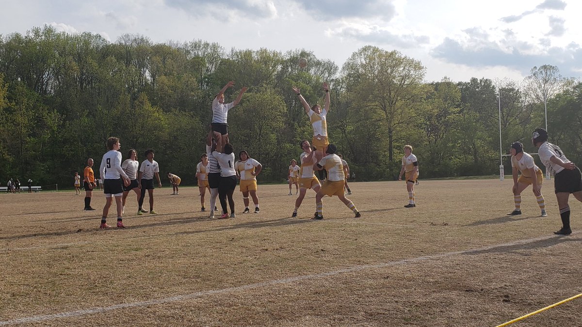 LNHS Rugby tweet media