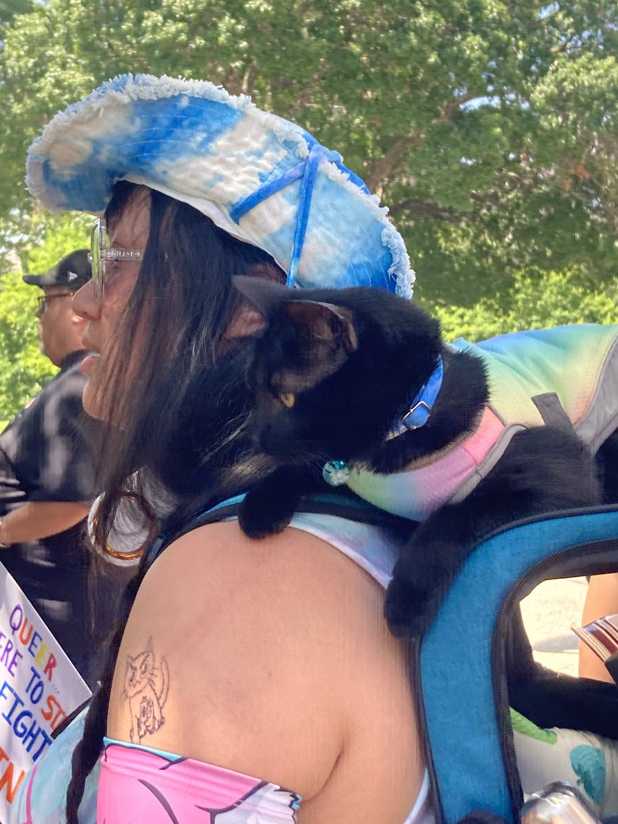 LGBTActivist's tweet photo. Awesome march for LGBTQ+ rights, followed by a rally and resource fair! Just what my heart needed. This is our Texas too, we will not be silent, and we will take care of each other. 🏳️‍⚧️ 🏳️‍🌈 

Shoutout to @EqualityTexas for a wonderful event! https://t.co/NNR50WMhxo