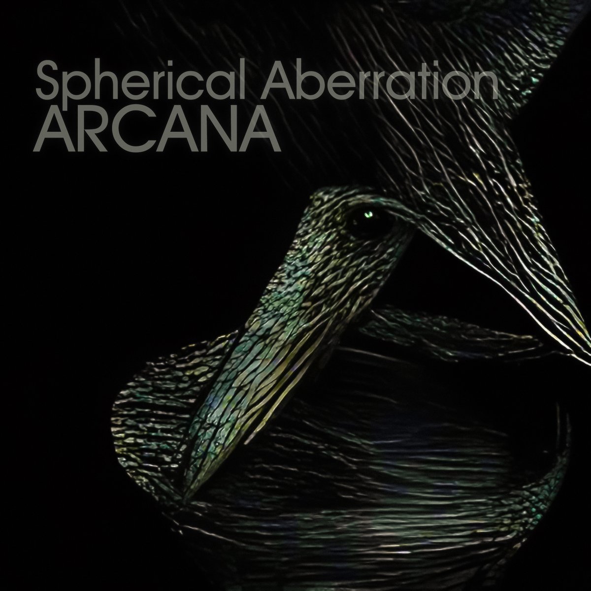 blear_moon's tweet photo. we have a new release out on 'immersive love' - Arcana is a darker ambient side of a Denmark based artist Spherical Aberration. https://t.co/EBySCGzQdi
. 
#ambientmusic #dronemusic #darkambient #netlabel #atmospheric #femaleelectronic https://t.co/3FcgsMLg7w