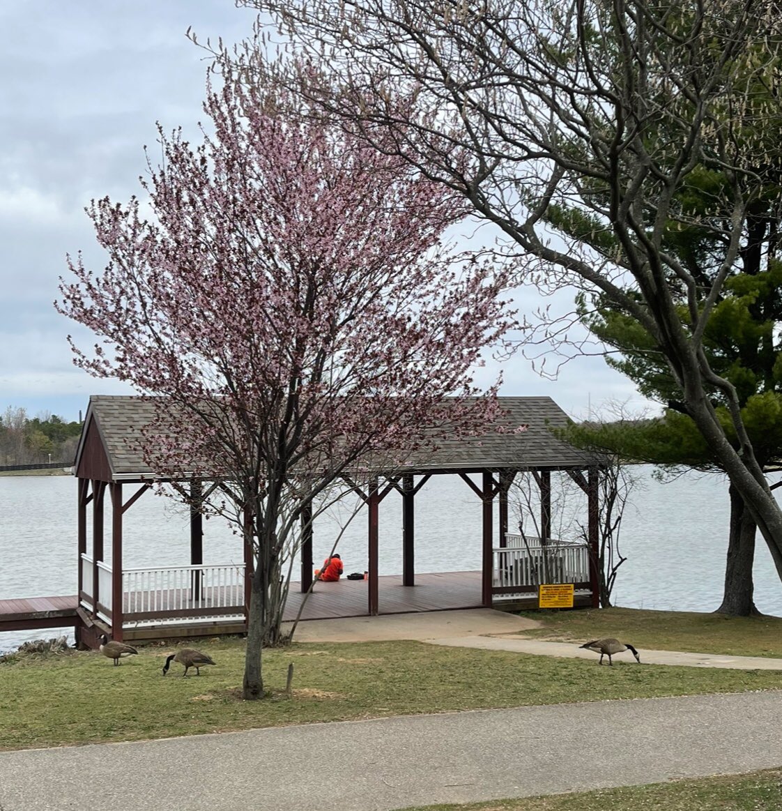 Sonny Lee on Twitter "Be proud of yourself for how hard you are trying