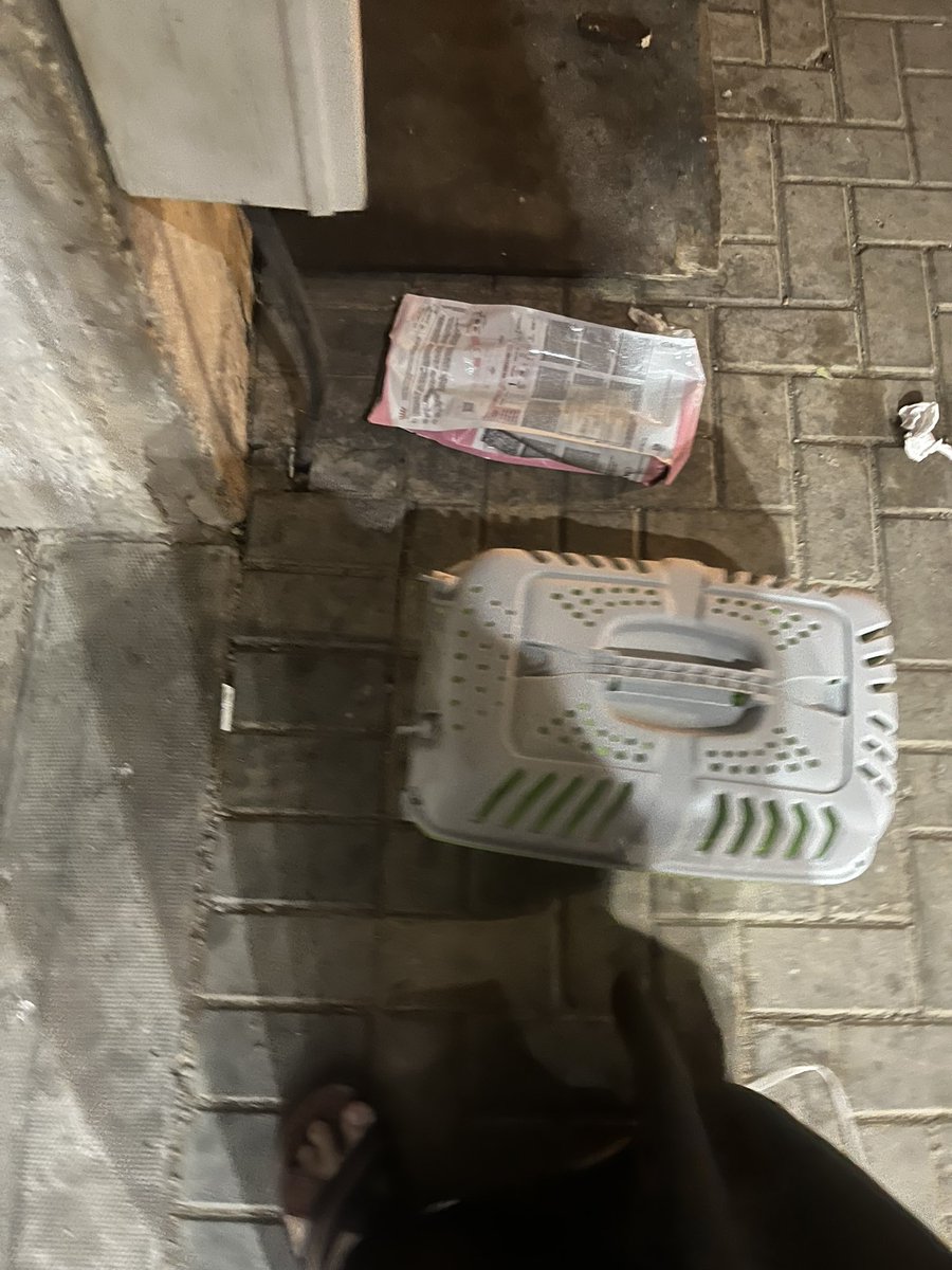 مُحَمّد tweet media