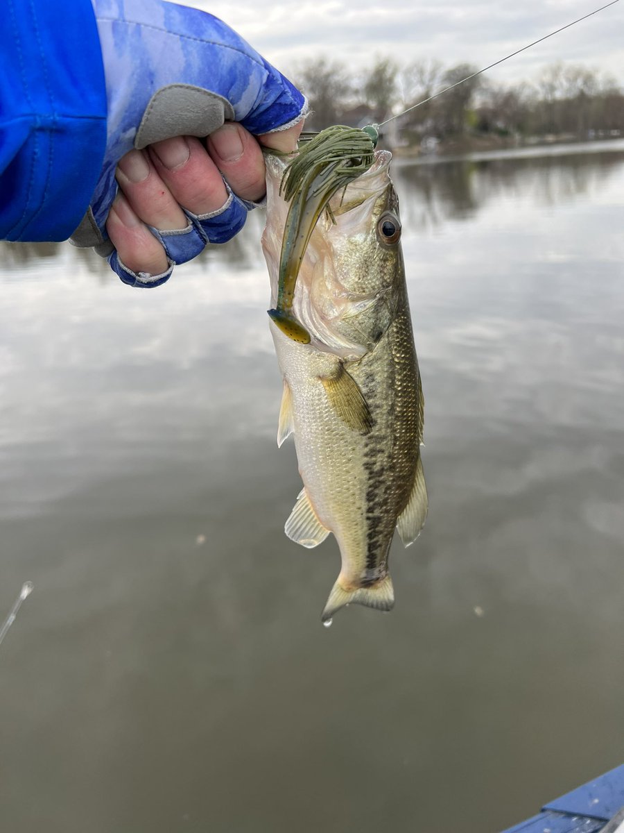 Mike 🇺🇸🇺🇸⚾️ tweet media