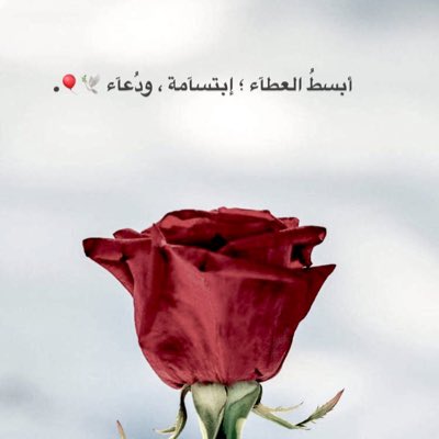 KraAhmad's tweet photo. #صورة_جديدة_للملف_الشخصي https://t.co/lVitdOe9Kl