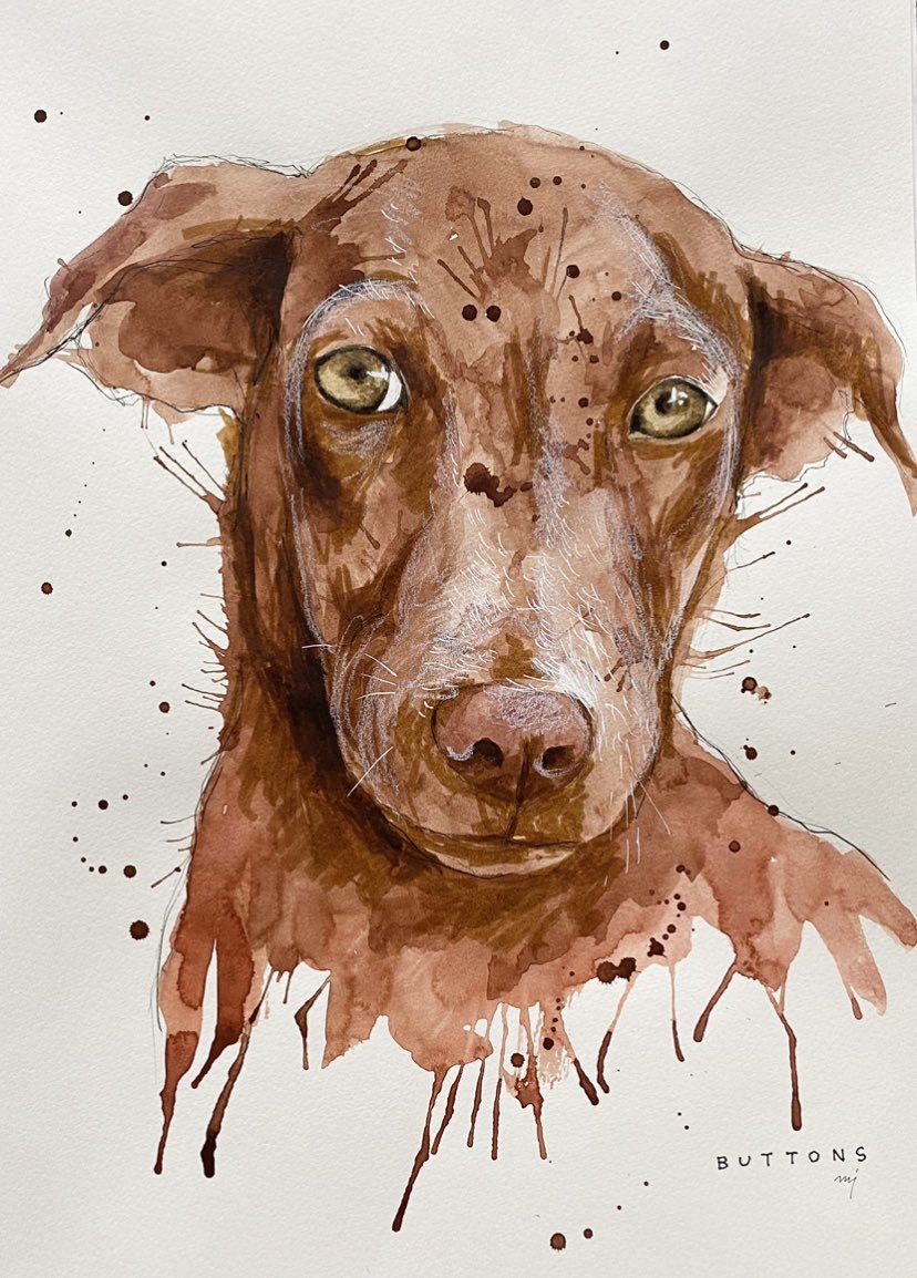Buttons <a href="/NiallHarbison/">Niall Harbison</a> 

#dogart #dogoftwitter #dogportrait 
Instagram @chellejung_draws