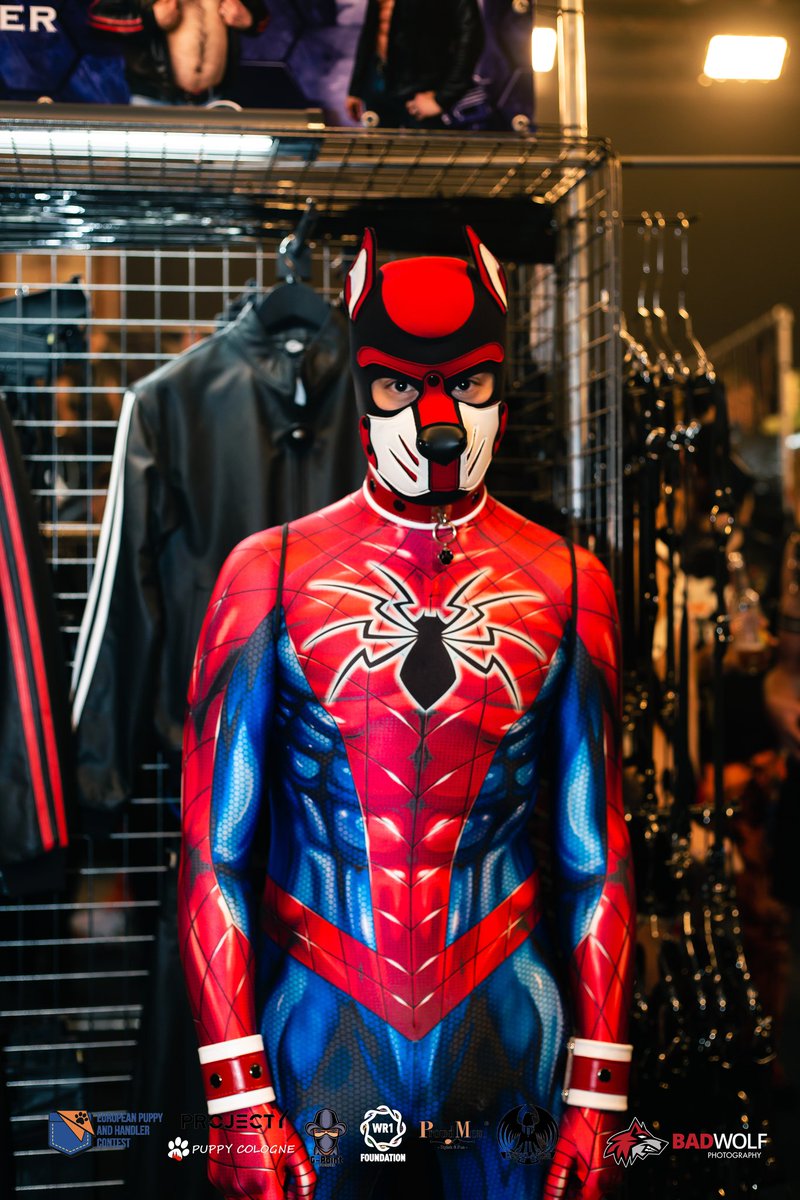 _Horiku's tweet photo. 🕷🐶🐾

📷 @BadWolfPhotos https://t.co/06j2fznuWY