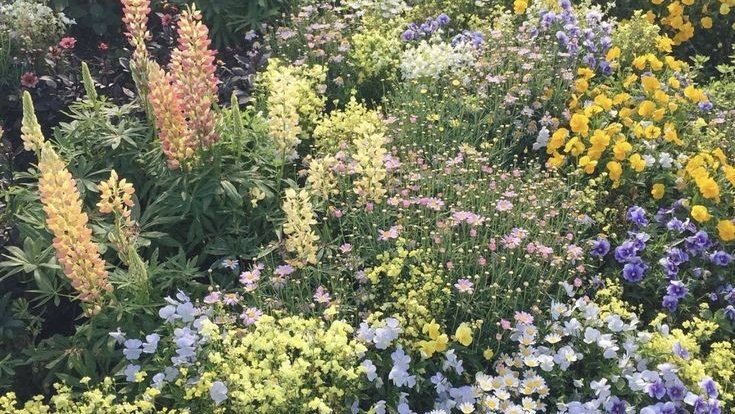 softdeIicacy's tweet photo. a huge love for flowers. https://t.co/Limz1uHxx4
