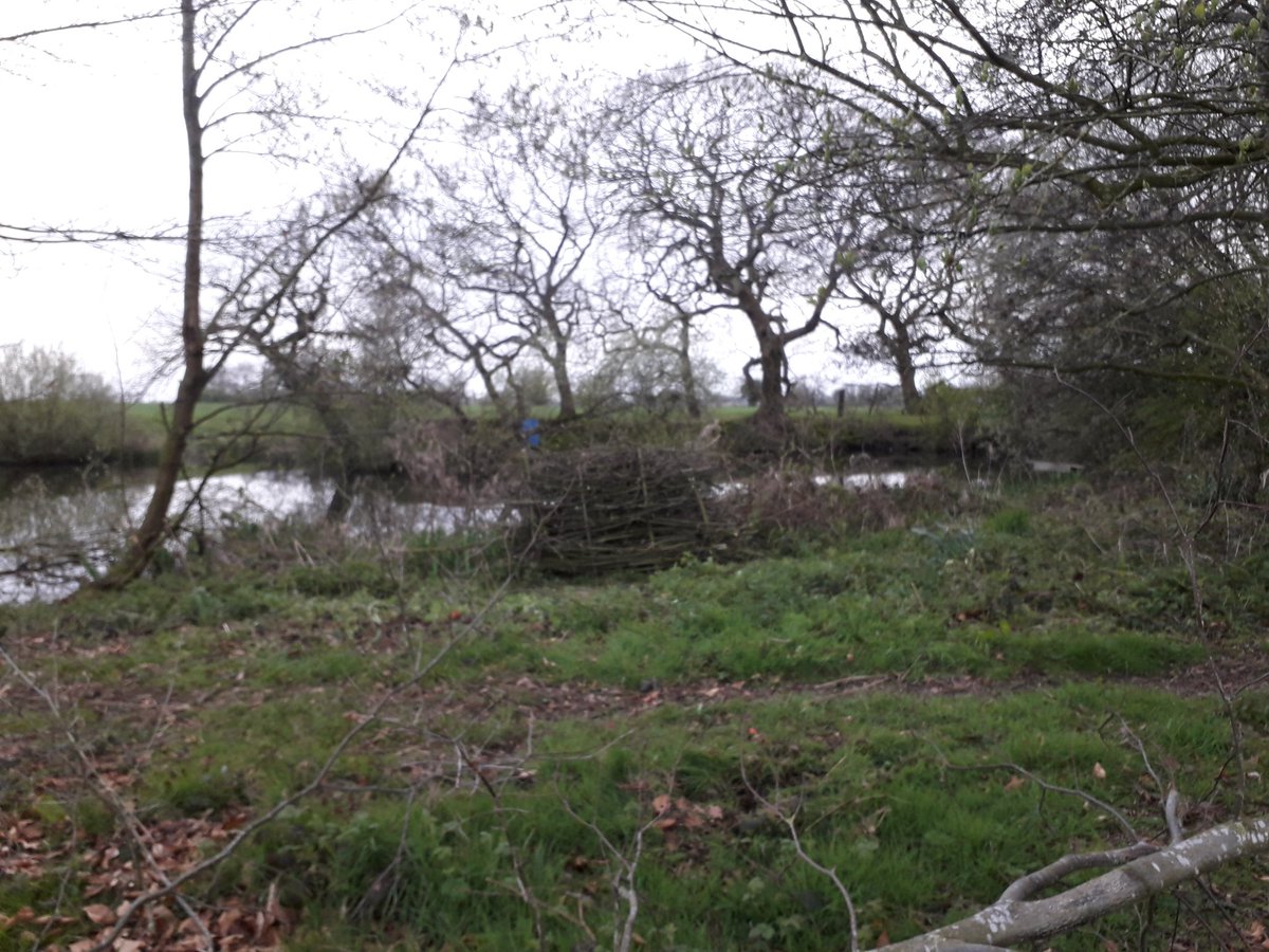 DHarazny's tweet photo. That's what I call as good afternoons work, Willow, the bugs will love this once it starts to break down, good place for nesting Robins as I placed a box inside #nature #forbugs #woodpile #dosomethingtohelpwildlife https://t.co/XxJ3SWRV2e
