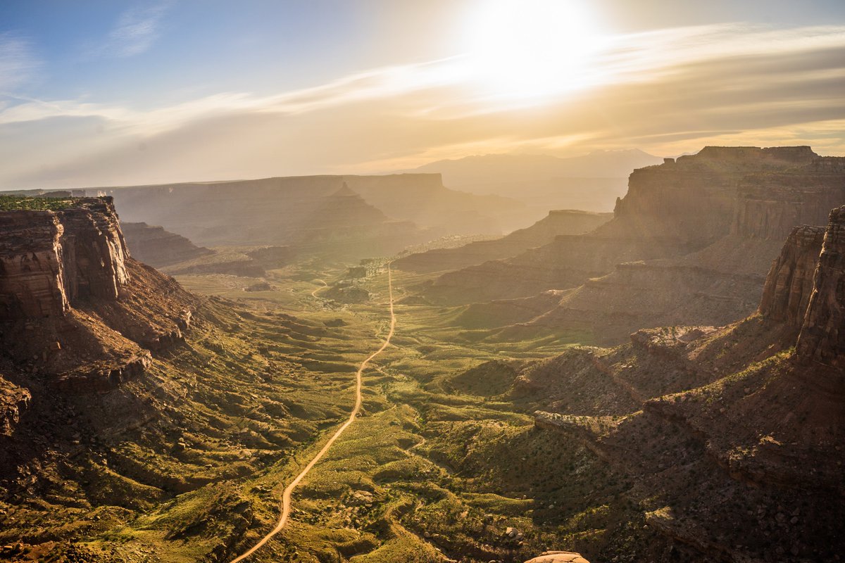 Nateinthewild | Nate Luebbe tweet media