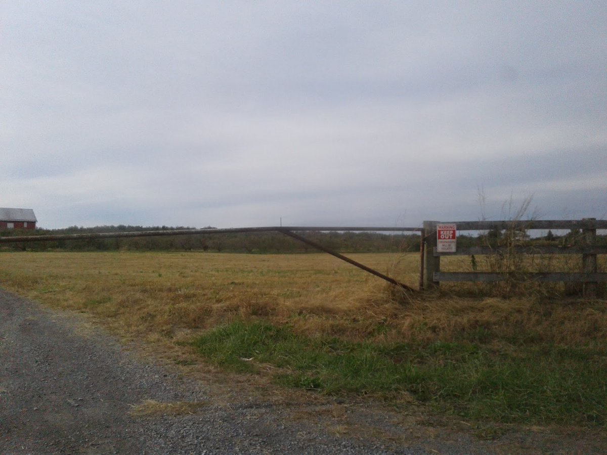 New town every hour on Twitter "Stephens City, Virginia Population