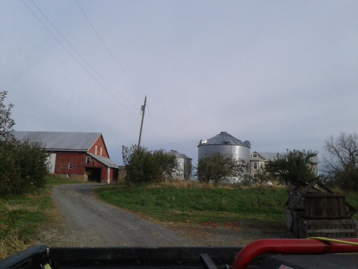 New town every hour on Twitter "Stephens City, Virginia Population