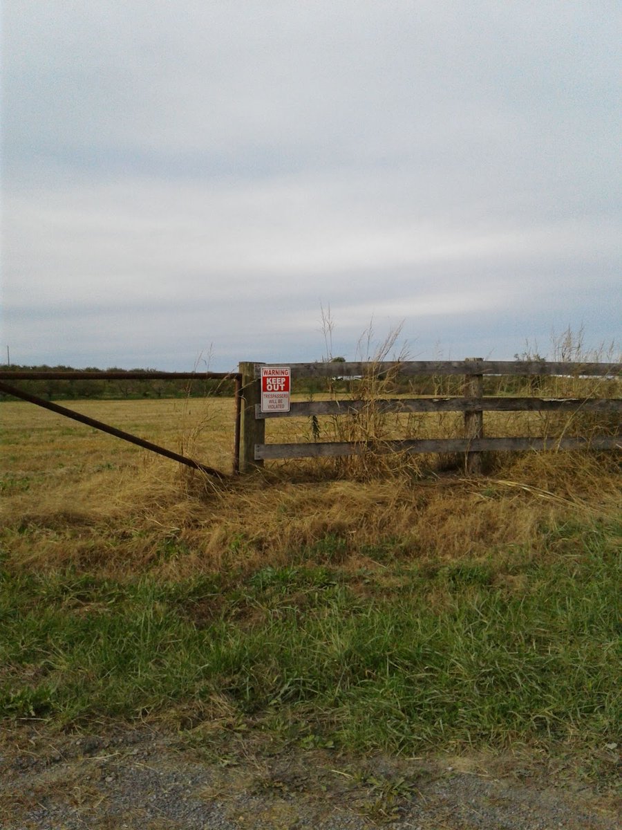 New town every hour on Twitter "Stephens City, Virginia Population