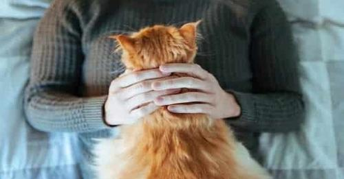 SubRosa )✿( Magick @subrosamagick.bsky.social tweet media