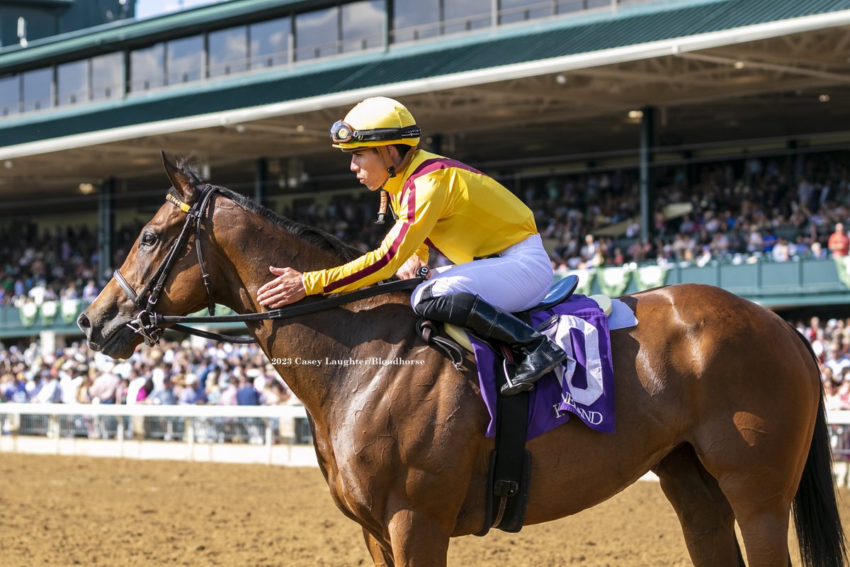 casey_laughter's tweet photo. #BreedersCup champ #TwilightGleaming winning the #GiantsCauseway Sakes with @iradortiz aboard at @keenelandracing for trainer #WesleyWard and owner @StonestreetFarm. @BloodHorse @CanonUSApro https://t.co/fHvrXOttA2