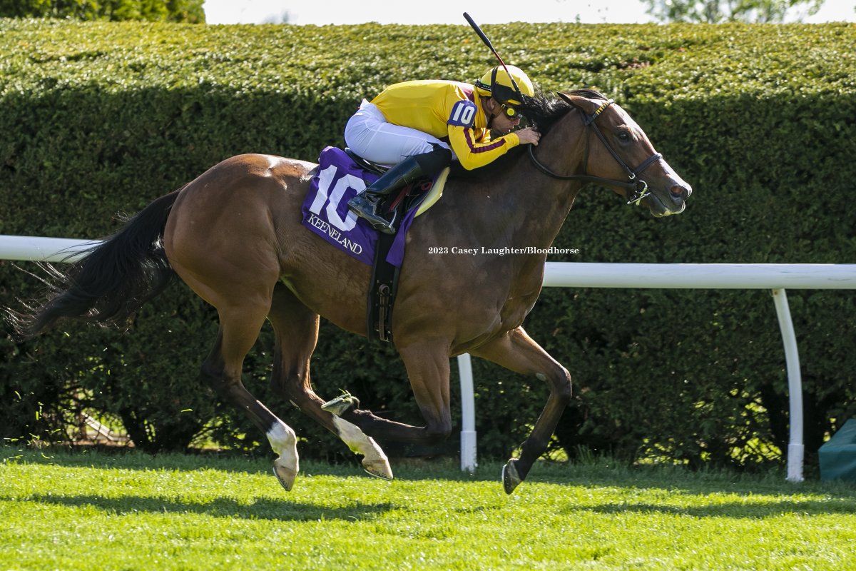 casey_laughter's tweet photo. #BreedersCup champ #TwilightGleaming winning the #GiantsCauseway Sakes with @iradortiz aboard at @keenelandracing for trainer #WesleyWard and owner @StonestreetFarm. @BloodHorse @CanonUSApro https://t.co/fHvrXOttA2