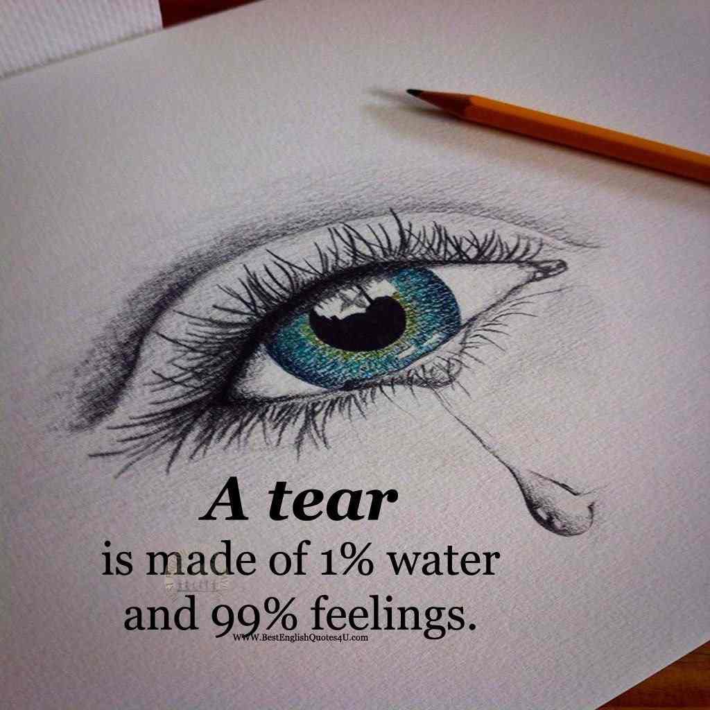 Kambiz Taghvaei (@kambiztaghvaei2) on Twitter photo 