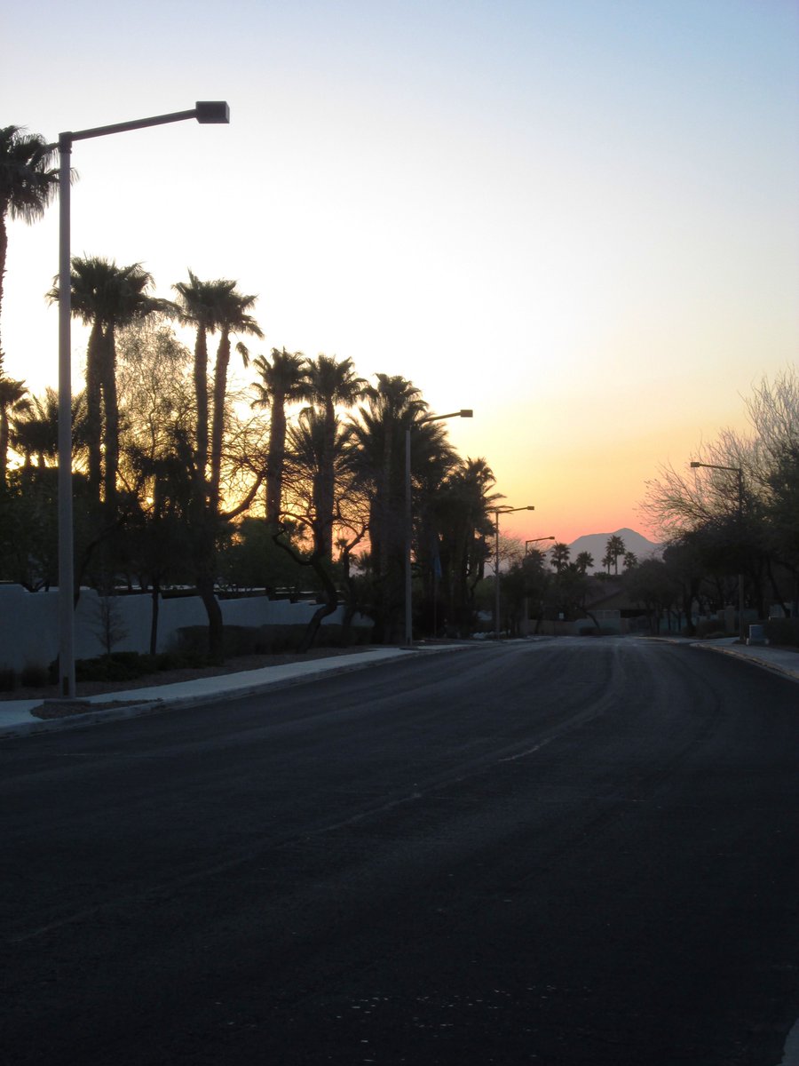 ElissaShakal's tweet photo. Our #morning #walk, out before #sunrise!  Beautiful to watch the sun come up in the #desert.  Lots of #wildhares and #chipmunks on the #trail, managed to get a couple of photos.  Look carefully, they blend well in their surroundings.  #SummerlinLV #LasVegas https://t.co/mgRgImPosu
