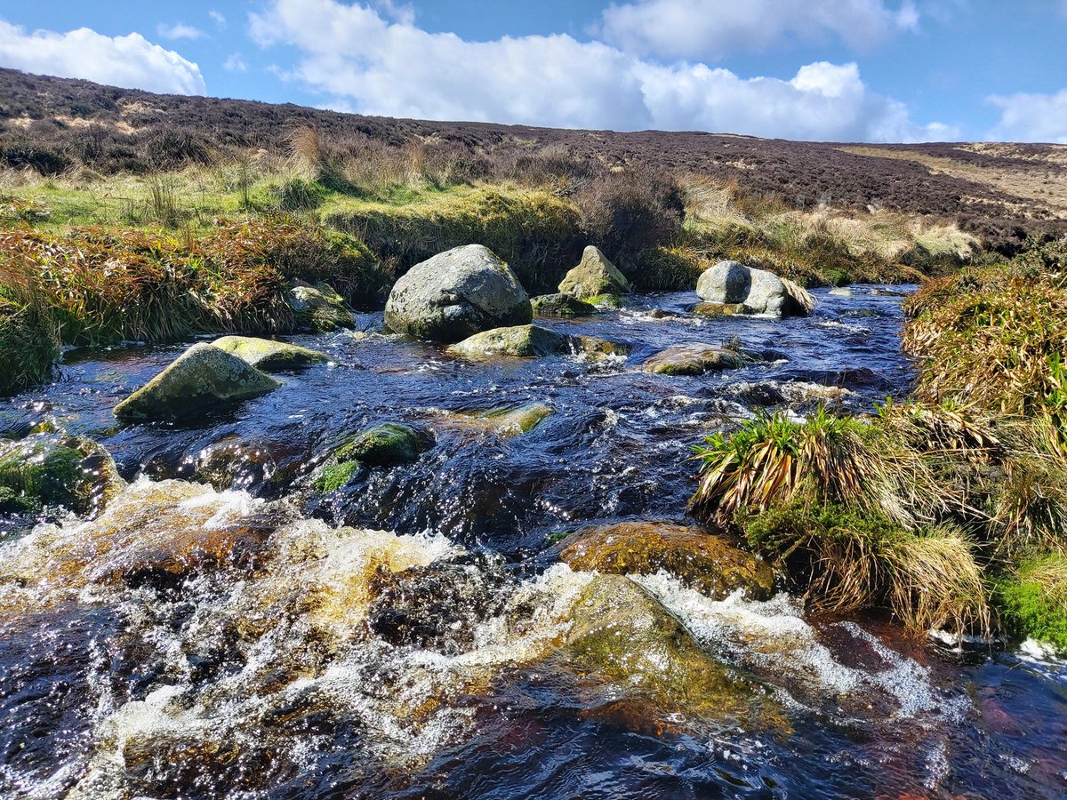 Roadside stops at its best!
#Ireland #lovindotie #loveireland #Wicklow #wicklowmountains