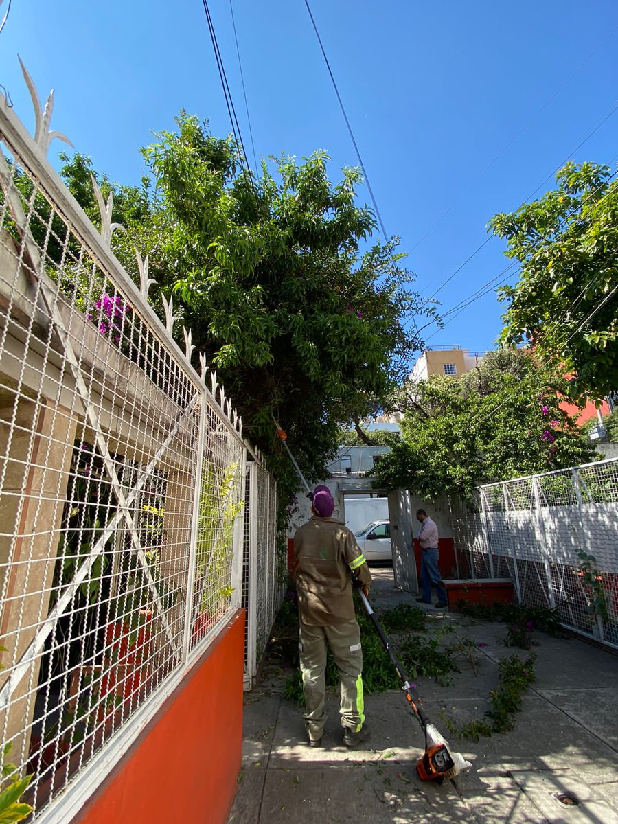 Alcaldía Cuauhtémoc tweet media