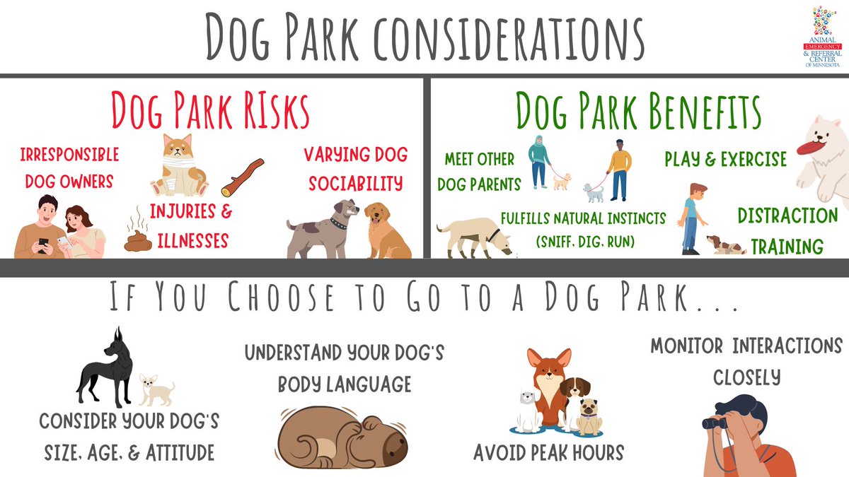 Dog Parents: Learn about the risks & benefits of local dog park - as well as some safety info! ➡Are Dog Parks Right for Your Dog? : aercmn.com/dark-side-of-d… ➡Dog Body Language & Bite Wounds in Dogs: aercmn.com/dog-parks-part… #dogs #twincities
