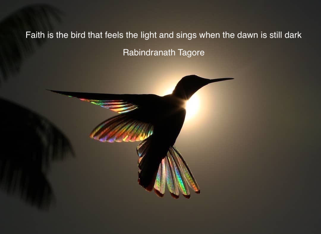 ramblingsloa's tweet photo. Faith is the bird that feels the light and sings when the dawn is still dark.

Rabindranath Tagore https://t.co/FosrJrcPqj