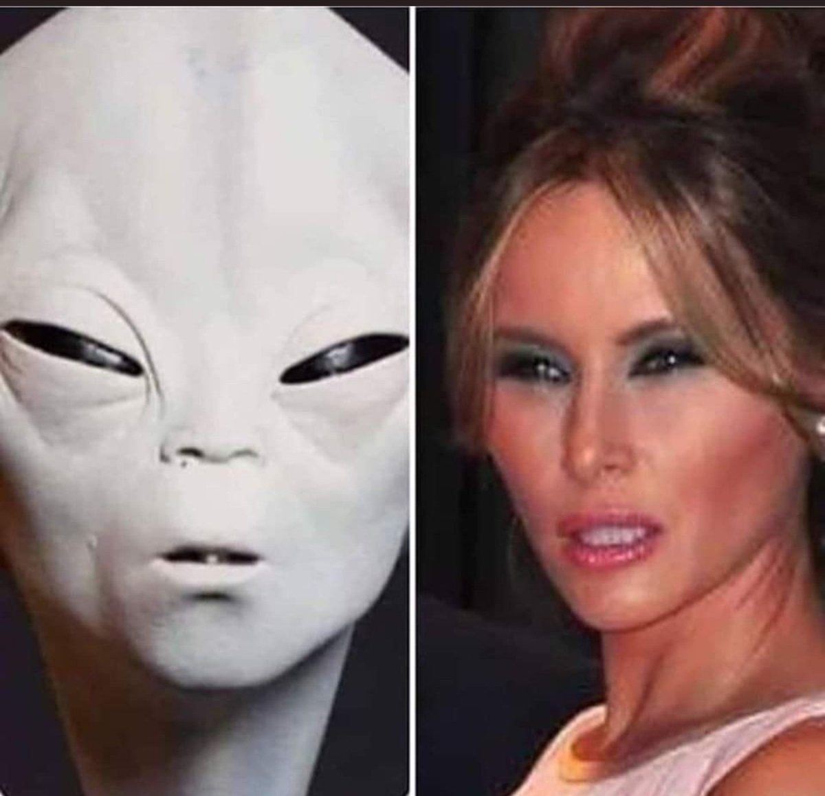 Melania?  Is that you?😅😂🤣