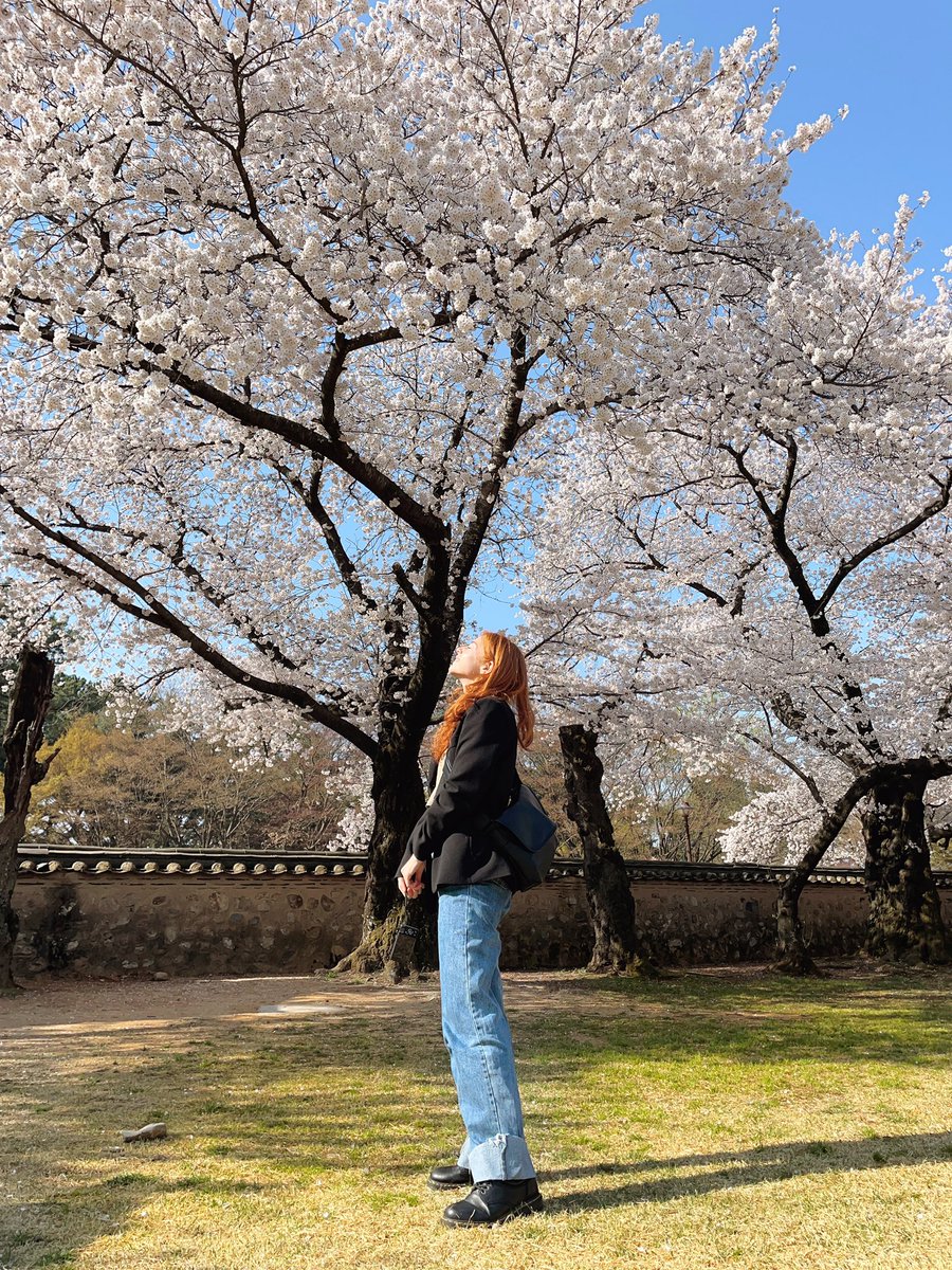 just posted a little spring in korea vlog for you all 🤍 youtu.be/InCVZ-DZhdA