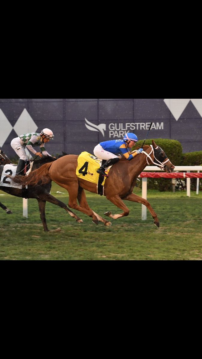 Juega en la mejor página deportiva Apuesta Royal