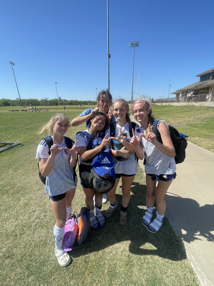 cate rolf tweet media