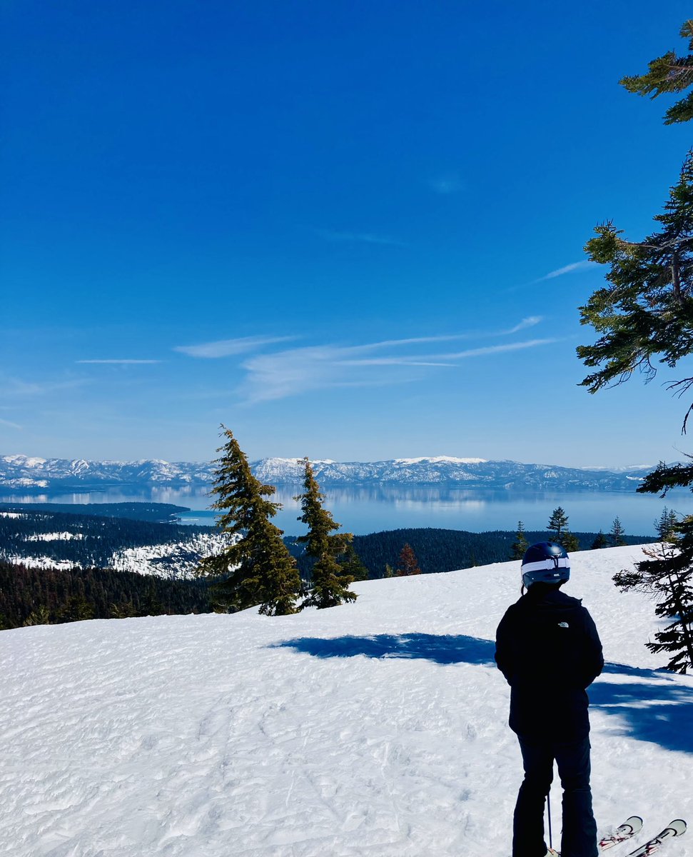 Janelle Teng Wade tweet media